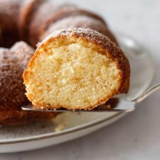 a serving utensil with a slice of cake on top