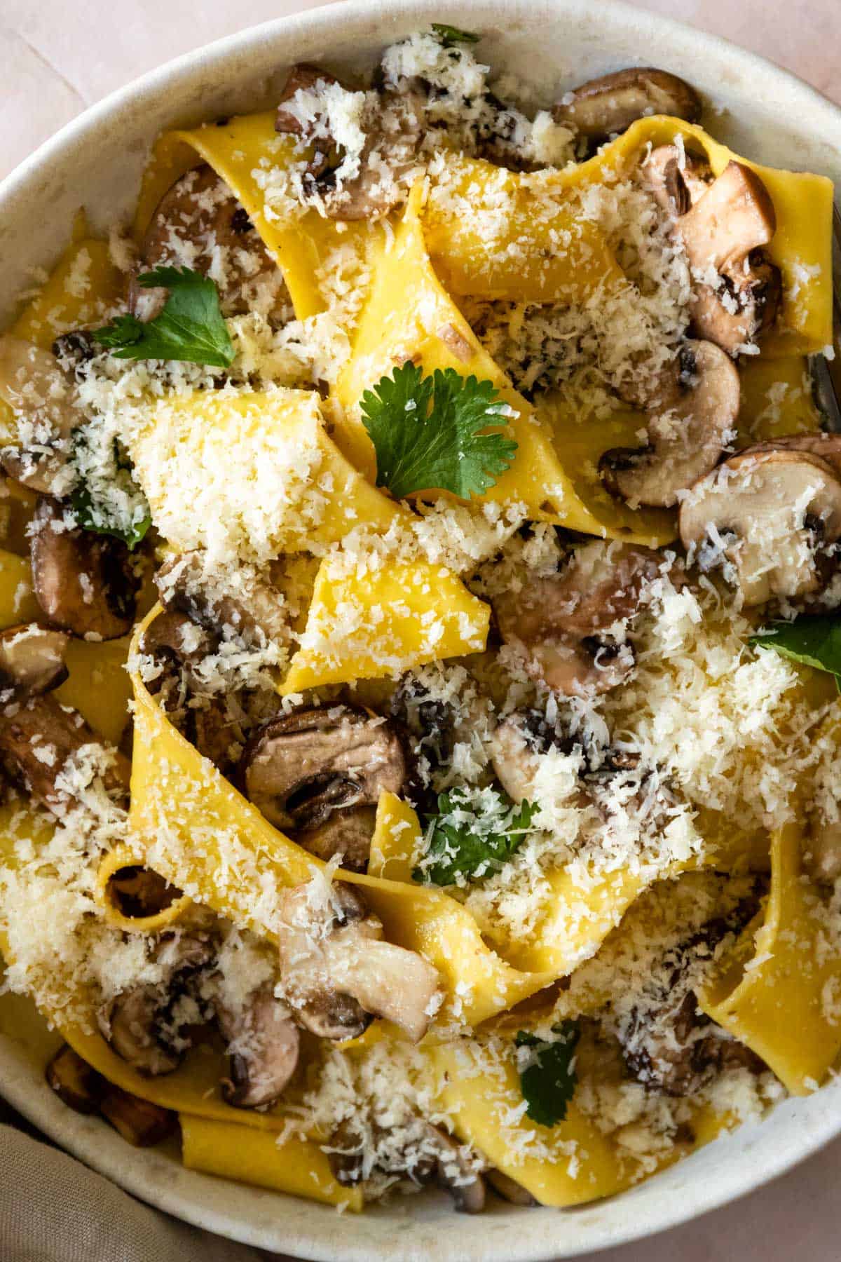 Mushroom Pappardelle Coco and Camellia