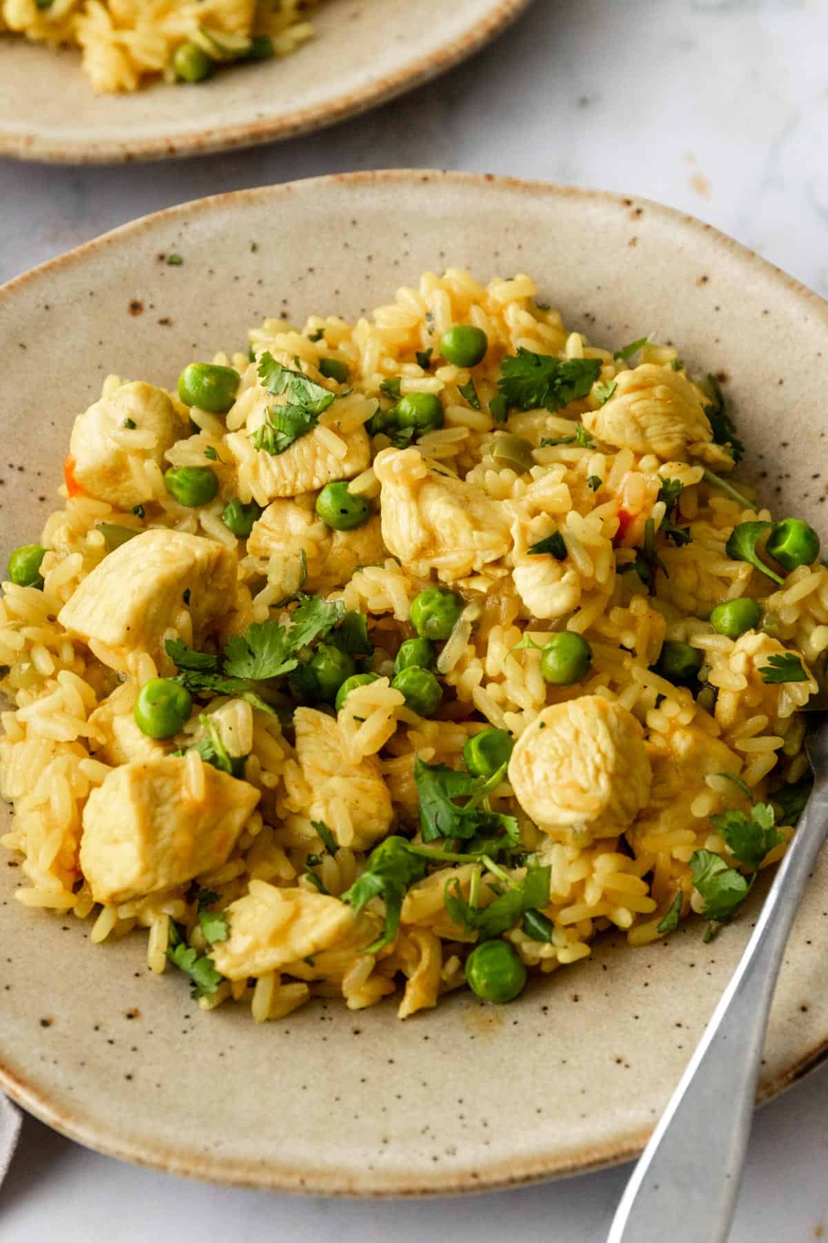 One-pot Chicken and Rice - Coco and Camellia