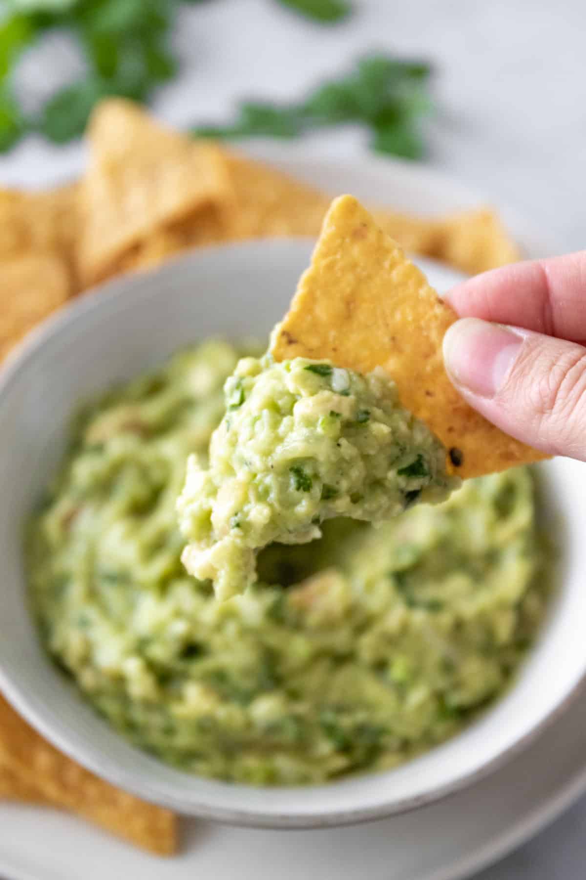 one hand holding a tortilla chip with guacamole